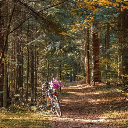 Cycling holiday in Hessen Package